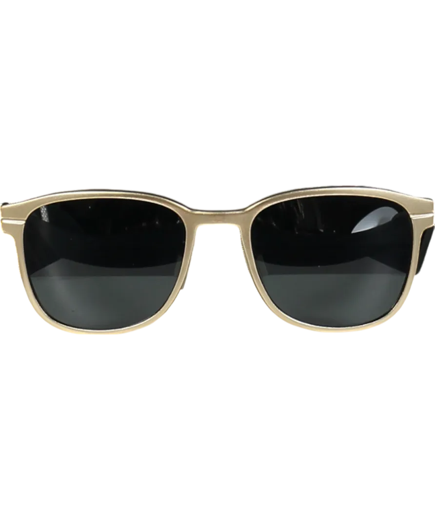 Hugo Metallic 0110/s Gold Sunglasses in case