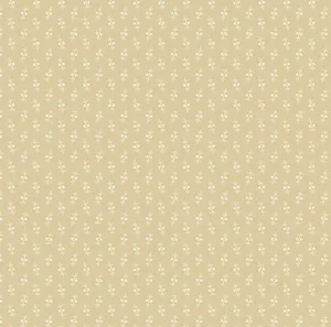 Latte - Top Dot Cream