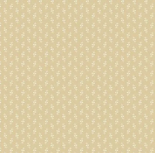 Latte - Top Dot Cream