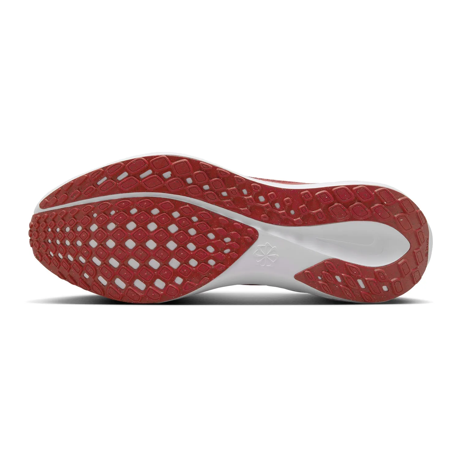 Ohio State Buckeyes 24 Nike Zoom Pegasus 41 Shoes