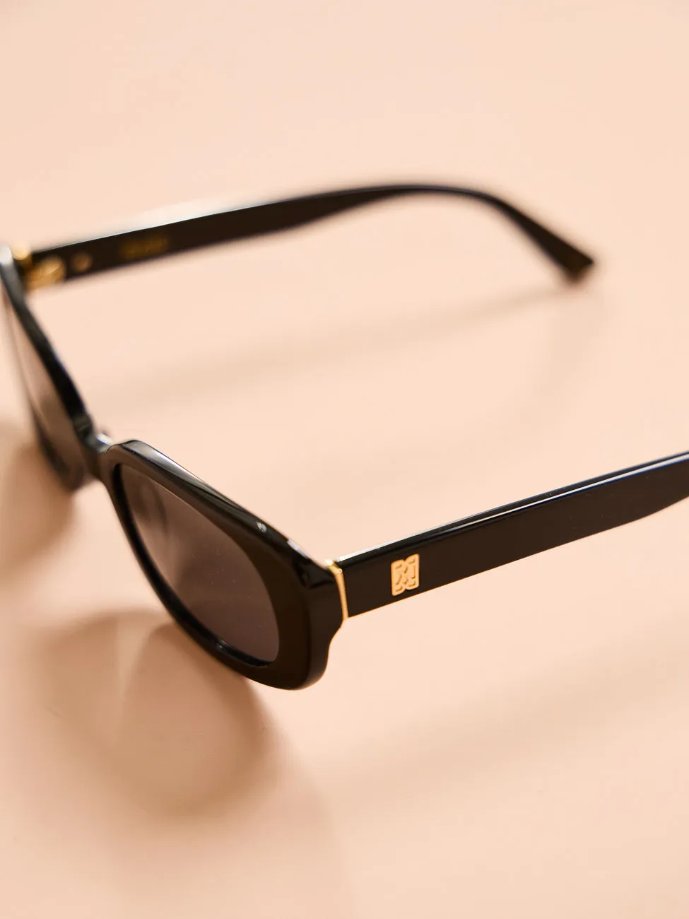 Raie Spencer Sunglasses in Black