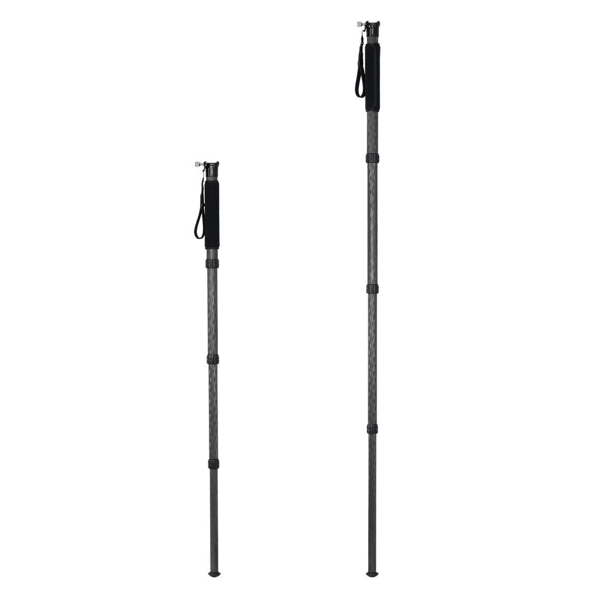 TR42ML Carbon Fiber Monopod with Arca-Swiss Clamp | 81" height